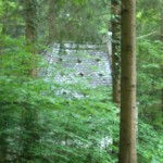 Waldfriedhof 2