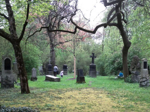 Nordfriedhof_Wiese_2